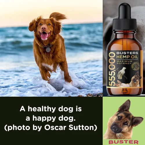 Vista 3 de Buster's - Aceite de cáñamo orgánico 530,000, paquete de 4 meses, suministro para perros y gatos, fabricado en Estados Unidos, Omega Rich 3, 6 y 9