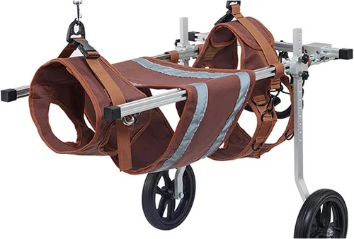 Vista 3 de Silla de ruedas ajustable para perro, silla de ruedas ligera para mascotas/perros, ayuda para caminar, auto para perros, fácil de usar, soporte