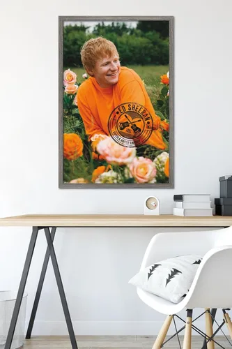Vista 6 de Trends International Ed Sheeran - Póster de pared de campo de rosas, 22.37 x 34.00 pulgadas, versión enmarcada de madera de granero