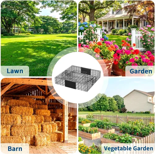 Vista 7 de 24" Squirrel Traps 4 Packs Square Small Live Animal Trap Cage Easy Hunting & Release with Carrying Handle Sensitive Trigger for Chipmunks Field