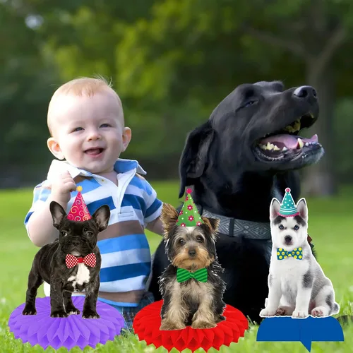 Vista 7 de 13 piezas de centro de mesa de panal para perros y bebés, suministros de fiesta de cumpleaños para mascotas, decoración de mesa para fiesta