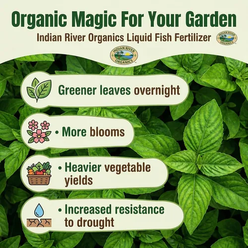 Vista 2 de Fertilizante de pescado - Fertilizante de pescado hidrolizado con certificación Omri para plantas (1 galón)