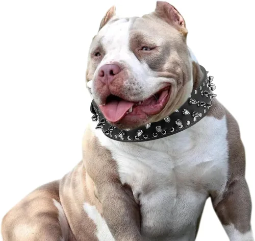 Vista 5 de PU - Collar para perro de piel sintética ajustable de 2.0 in, tachonado con clavos, Negro Collar de protección ajustable para el cuello