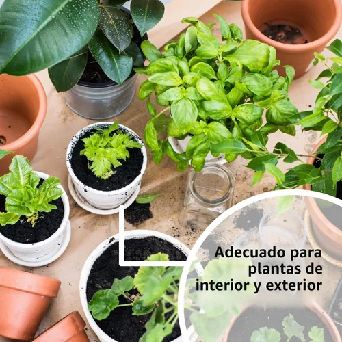 Vista 5 de Solución de vitaminas vegetales SUPERthrive, 1 galón, transparente 0.5-0-0 formula with kelp extract. For indoor/outdoor plants, houseplants