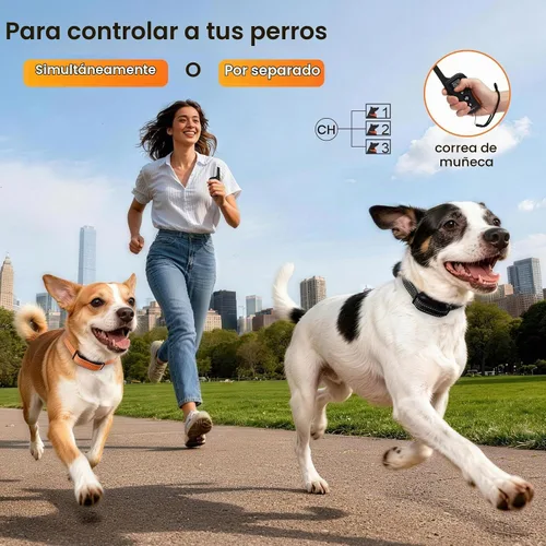 Vista 6 de Collar de Entrenamiento para Perros sin Choque con Control Remoto de 1005.84 m de Rango, Collar de Perros con Fuerte Vibración, Solo Pitido y Negro