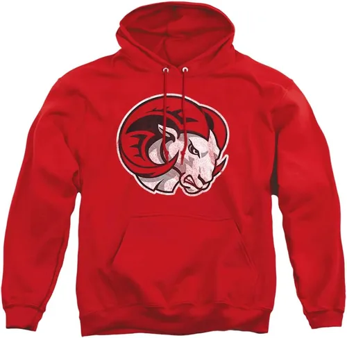 Vista 127 de Distressed College Primary Logo Adult Pullover Hoodie Collection 1 Universidad Estatal de Albany