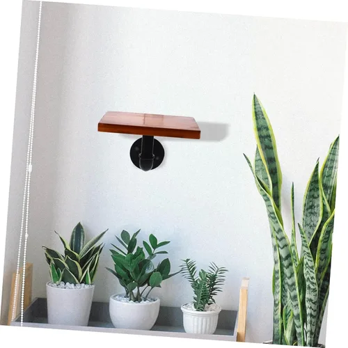 Vista 8 de Homoyoyo Estantes de madera para plantas, decoración de plantas, estantes montados en la pared, estante de almacenamiento montado en la pared