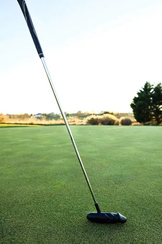 Vista 5 de Peter Putter Professional Golf Putter Premium Aluminum Head with Chrome Stepless Shaft Stiff Flex Graphite Construction Available in Classic