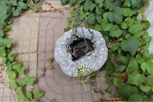 Vista 5 de Oncpcare Hamaca de jaula de animales pequeños, hamaca de flor, jaula de conejillo de indias, cama cálida para loro planeador de azúcar, hurón