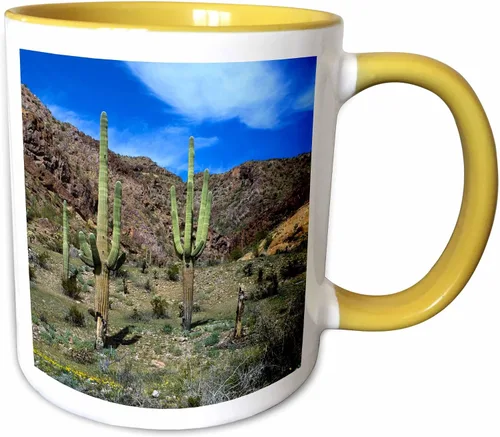 Vista 9 de 3dRose USA, Arizona, Ajo, Saguaro cacti - US03 PHA0020 - Peter Hawkins 11oz Two-Tone Black Mug