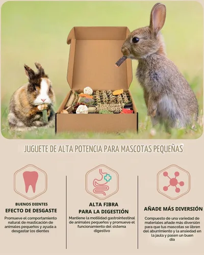 Vista 4 de Bissap Juguete masticable de conejo, golosinas naturales de conejito con Timothy Heno Water Grass Mat Masticar Bambú Palitos de Manzana Caja