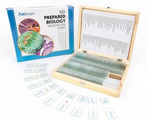 Vista 5 de AmScope M162C-2L-PB10-WM-SP14-50P100S 40X-1000X Kit de microscopio para principiantes para niños y estudiantes con kit completo de accesorios