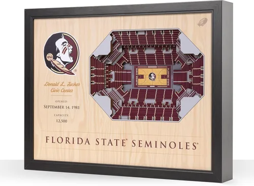 Vista 43 de YouTheFan NCAA Arte de Pared StadiumView de 25 Capas