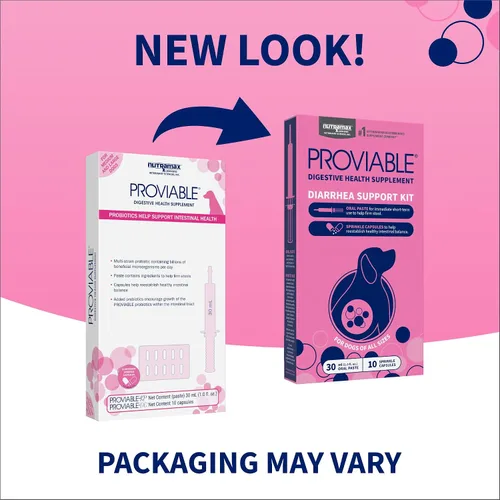 Vista 2 de Nutramax Proviable Probióticos para Perros, Kit de Apoyo para la Diarrea, Suplemento para la Salud Digestiva con Múltiples Cepas de Bacterias, Más