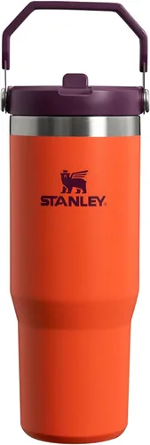 Vista 54 de STANLEY IceFlow 2.0 - Vaso con pajilla abatible con asa, 30 onzas, tapa giratoria y popote abatible, botella de agua a prueba de fugas, acero Tiza