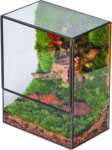 Vista 8 de NCYP Terrario de cristal cerrado con puerta, 3.9 x 3.9 x 11.8 pulgadas, maceta rectangular alta para helechos, plantas suculentas, decoración