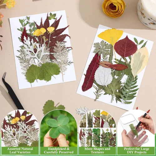 Vista 8 de Alipis Dried Pressed Flowers and Leaves for Resin Crafts, 162+ Pieces Green Leaves