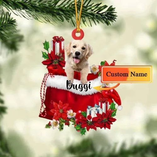 Vista 176 de Perro Akita Inu personalizado en bolsa de regalo, adorno de Navidad, nombre personalizado, regalo para amantes de los perros, familia, Navidad