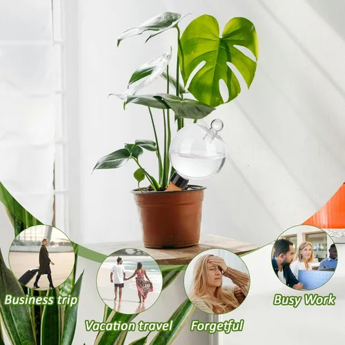 Vista 7 de Paquete de 4 globos de riego de plantas de 17.5 onzas con tapas, inserto de riego automático, bombillas de agua de plástico para plantas