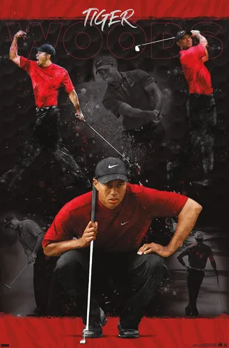 Vista 9 de Trends International Tiger Woods - Póster de pared de bosquejo, 14.725 x 22.375 pulgadas, versión enmarcada de madera de granero