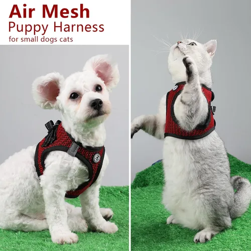 Vista 4 de Arnés suave para perro pequeño, extra pequeño, arnés de malla para cachorros, arnés ajustable reflectante sin tirones para perros pequeños y gatos