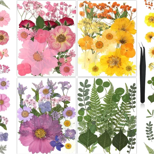 Vista 11 de 100 piezas de flores prensadas secas de hortensias para manualidades de Hortensia 100pcs