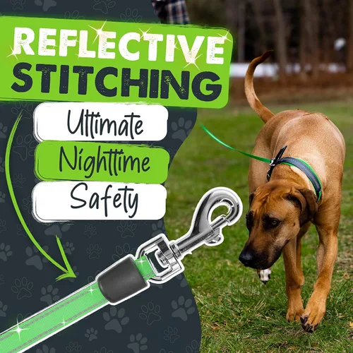 Vista 6 de Correa retráctil Mighty Paw con soporte incorporado para bolsas de excremento Correa retráctil para perros de 16' de largo para perros pequeños