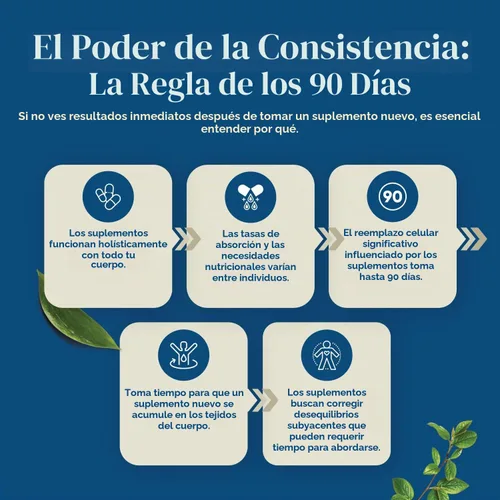 Vista 6 de Complejo equilibrado de berberina Plus de 1200 mg, berberina antioxidante con cápsulas de canela de ceilán más extracto de cardo mariano