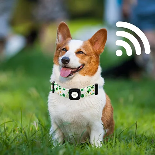 Vista 4 de Lionheart glory Airtag - Collar de perro de San Patricio para perros pequeños, collar verde ajustable de alta resistencia, collar de trébol