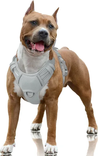 Vista 78 de BARKBAY Arnés para Perro Sin Tirones Talla Grande Arnés Reflectante para Perro con Clip Frontal y Asa de Control Fácil para Caminar Entrenar Correr