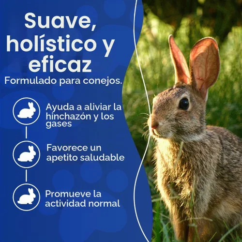 Vista 4 de HealthyAnimals4Ever - Tratamiento de estasis gastrointestinal para conejo, natural, 0.88 oz