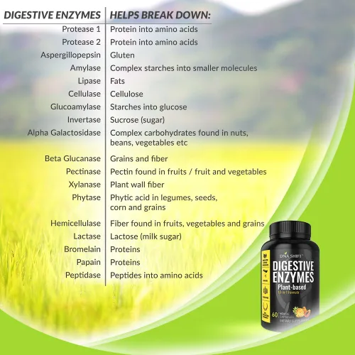 Vista 3 de Enzimas digestivas para hombres y mujeres – Las enzimas mejores para la salud intestinal y la salud digestiva – Las enzimas ultra digestivas pueden