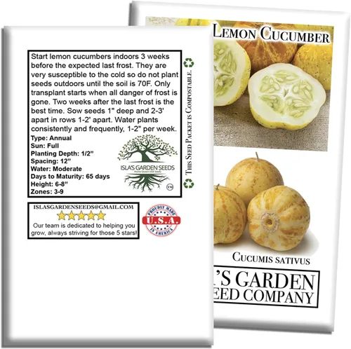 Vista 7 de Semillas de pepino de limón para plantar: más de 125 semillas sin OMG y reliquias, pepino amarillo redondo único, sabor crujiente y suave, por