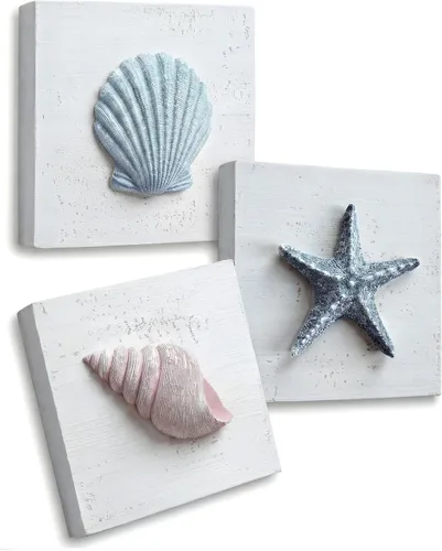 Vista 10 de TideAndTales - Decoración de playa de conchas marinas (juego de 4) conchas 3D texturizadas y decoraciones de estrellas de mar para el hogar o casa
