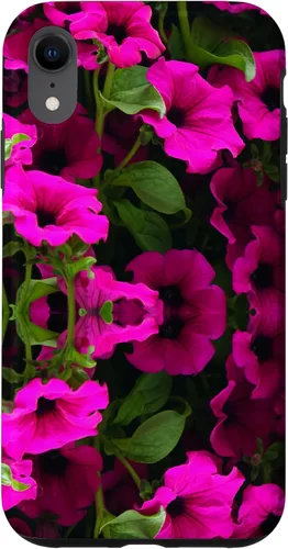 Vista 24 de iPhone 16 Purple Petunia Floral Cool Garden Plant Flower Gardener Gift Case