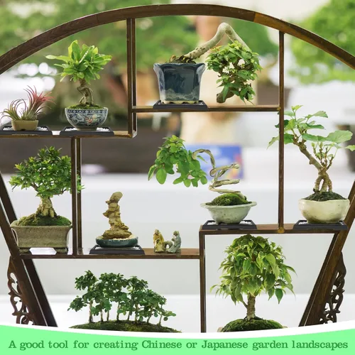 Vista 5 de Pinkunn 2 Piezas Bandeja de Humedad para Bonsái Bandeja de Goteo Plásticas Captador de Agua para Plantas Platillos para Interiores y Exteriores
