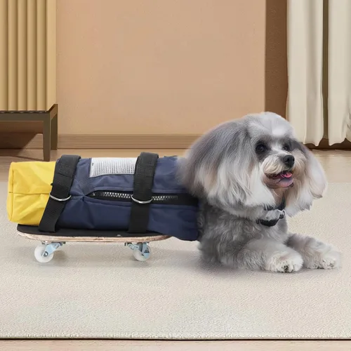 Vista 3 de Adjustable Dog Wheelchair for Back Legs, Mobility Aid for Pets, Nylon Construction with Mesh Window, S, M, L Sizes, Suitable for Dogs 5-18 Lbs