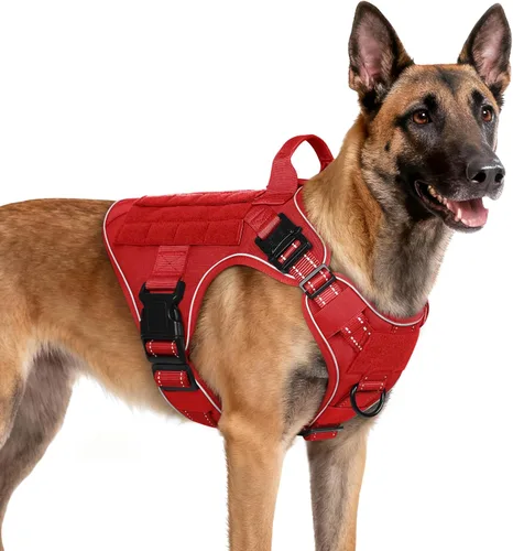Vista 43 de rabbitgoo - Arnés táctico para perros pequeños, arnés resistente para mascotas con asa, chaleco de servicio sin tirones para razas pequeñas, chaleco