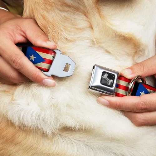 Vista 8 de Hebilla para cinturón de seguridad con cuello de perro, bandera de Puerto Rico desgastada de 9 a 15 pulgadas de ancho 1.0 Inch Wide, Durable Nylon