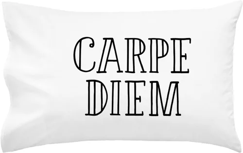 Vista 12 de Oh, Susannah Carpe Diem - Funda de almohada cursiva de 18 x 18 pulgadas, fundas de almohada inspiradoras doradas