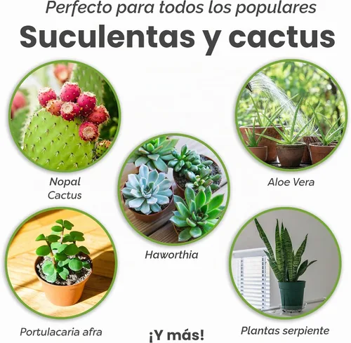 Vista 3 de Mezcla de tierra para suculentas y cactus de Perfect Plants (1QT)