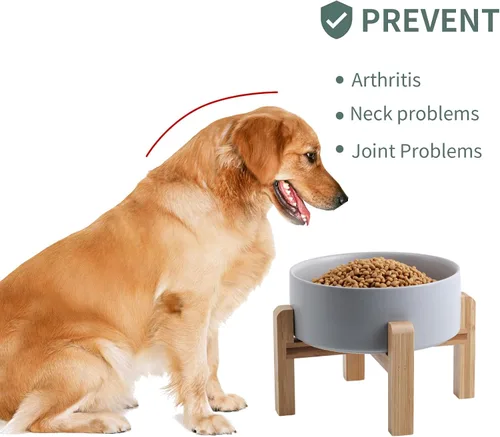 Vista 3 de Cuenco de cerámica elevado y elevado para perros de razas pequeñas y medianas, cuenco de agua con soporte, plato de alimentación pesado Gris
