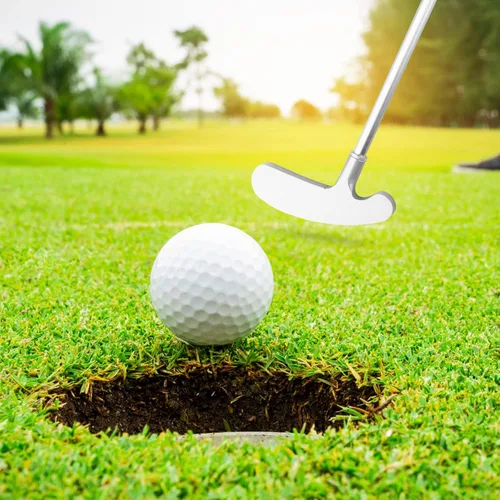 Vista 5 de Putters de golf, putters bidireccionales para hombres, mujeres, adultos, diestro/zurdo, juego de miniclub de golf para niños, adolescentes con 2