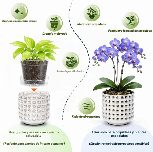 Vista 2 de D'vine Dev Orchid Pot, Clear Pot & Saucer, Smoked White, 6.7 in, 28-A-Y-1 Blanco ahumado