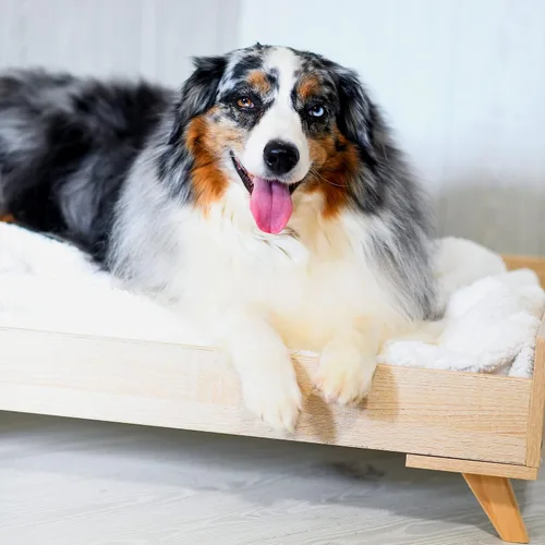 Vista 2 de Midlee Marco de cama elevado de madera para perro, tamaño grande