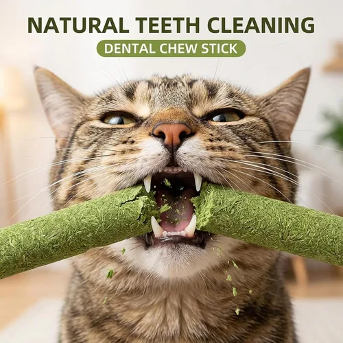 Vista 3 de 10Pcs/50g Cat Toys Kitten Freeze Dried Catnip Cat Grass Teething Stick Treat for Indoor Cats Edible Removal Hairballs Kitten Toys Kitty Chew for