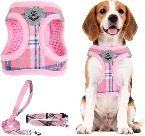 Vista 66 de PUPTECK - Arnés, collar y correa ajustables, sin tirones, para perros pequeños y medianos, cachorros y gatos, pechera reflectante acolchada de malla
