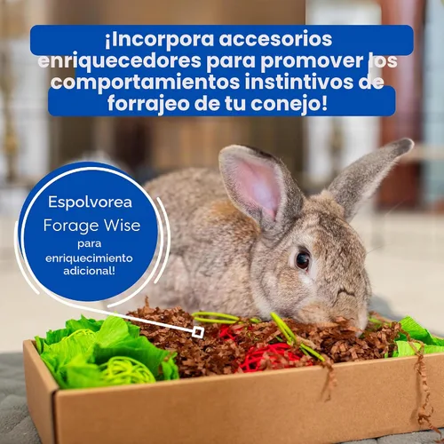 Vista 7 de Oxbow Forage Wise - Alimento para conejo adulto, alimento para conejos