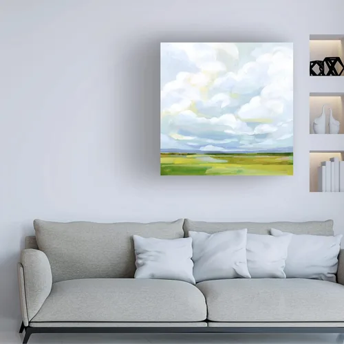 Vista 3 de Trademark Fine Art Lienzo de Cielos Lucidos IV por Victoria Borges
