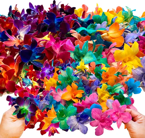 Vista 14 de Flores frescas cortadas de Miami OrchidClub USA por Sunne Tropical DIY Lei, decoración de alimentos y bebidas (50 blanco)